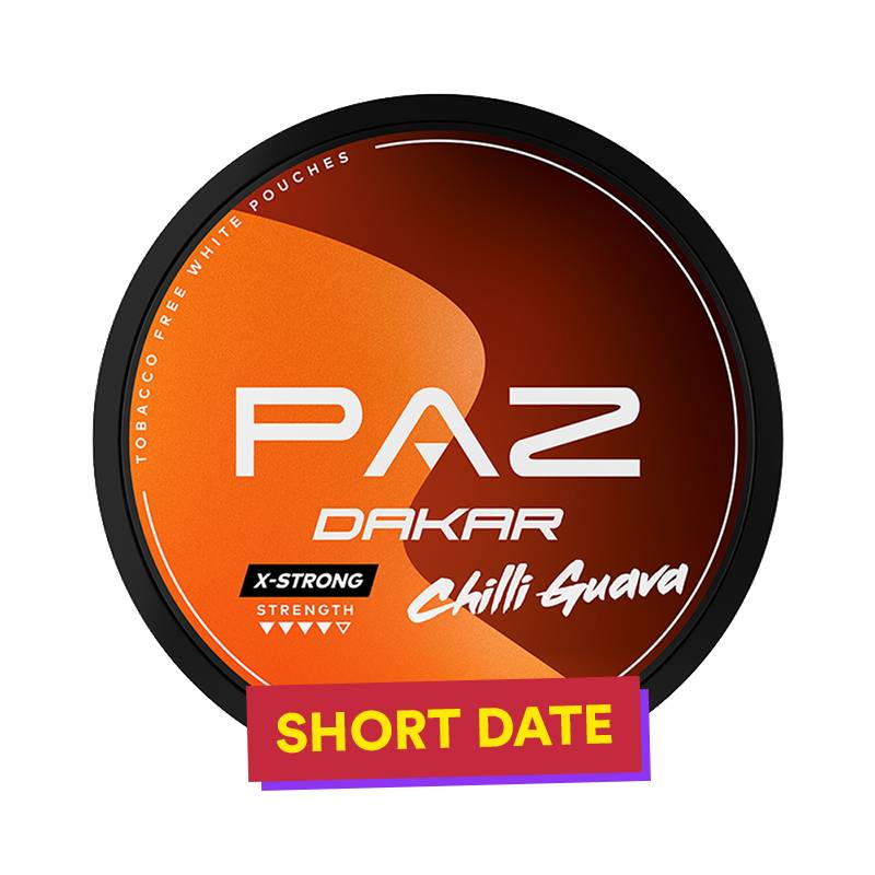PAZ Racing Dakar