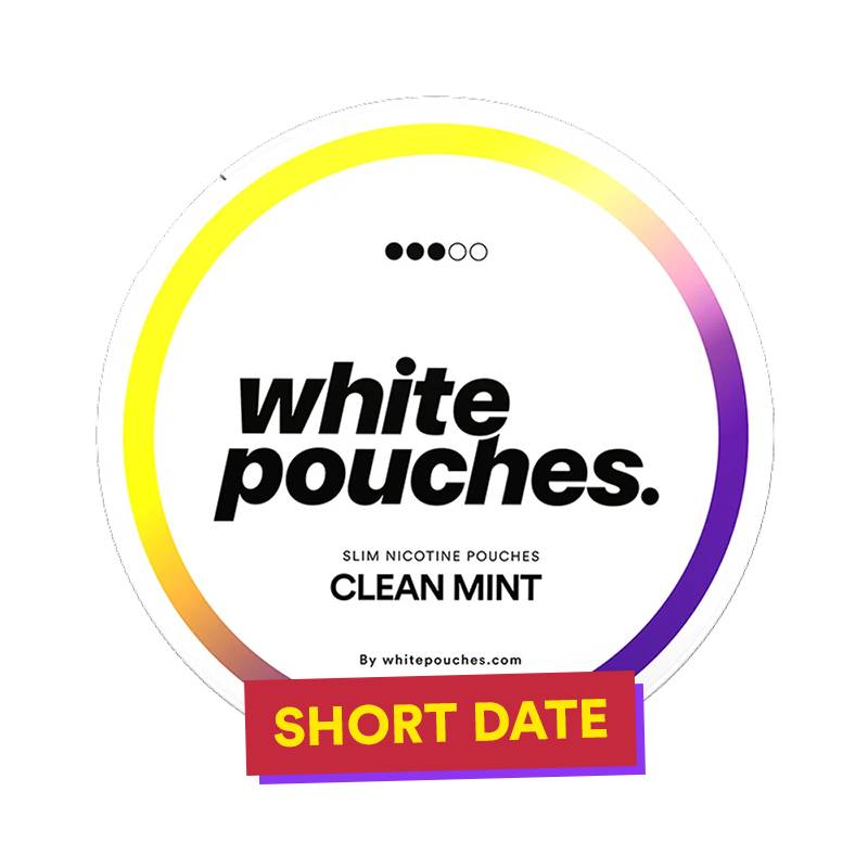 Whitepouches Clean Mint Regular