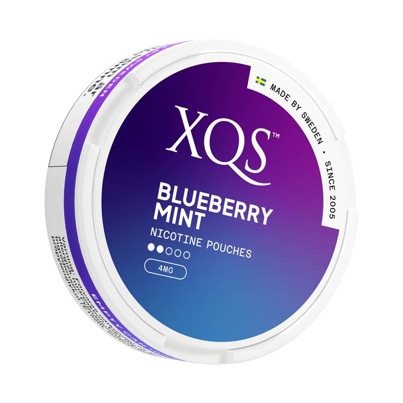 XQS Blueberry Mint Light Slim
