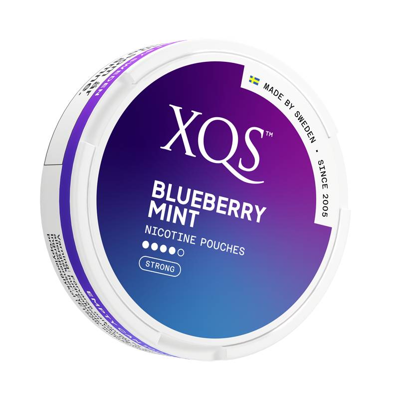 XQS Blueberry Mint Strong