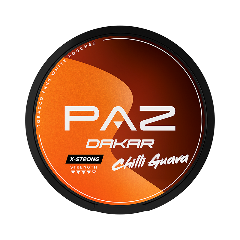 PAZ Racing Dakar
