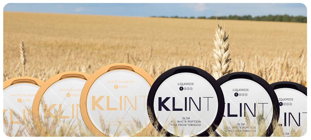 SWEDISH FAVE: Klint