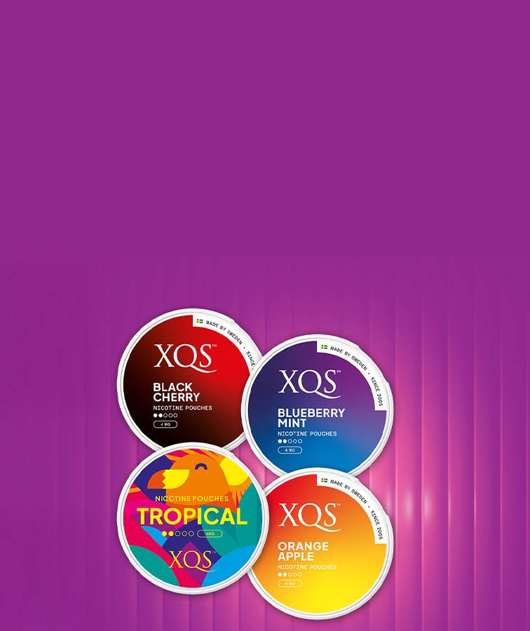 25% Off XQS-bundles!