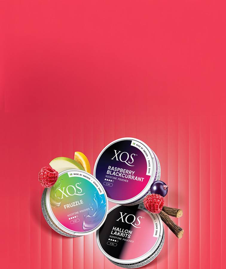 25% Off XQS-bundles!